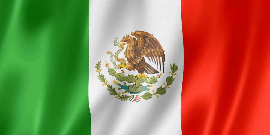 Mexicanos en irlanda Viviendo